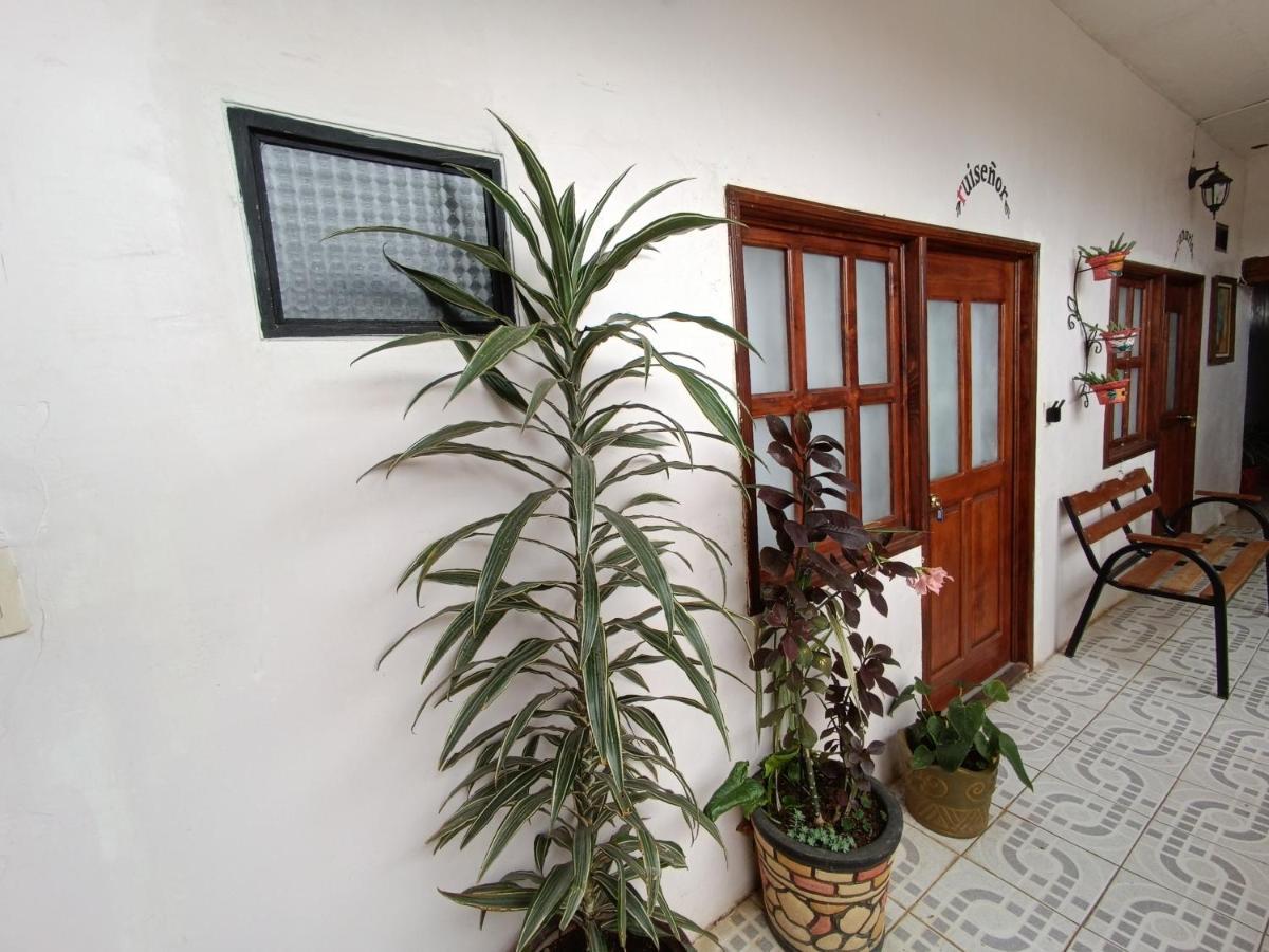 Casa Petirrojo - Habitaciones En Pátzcuaro Dış mekan fotoğraf
